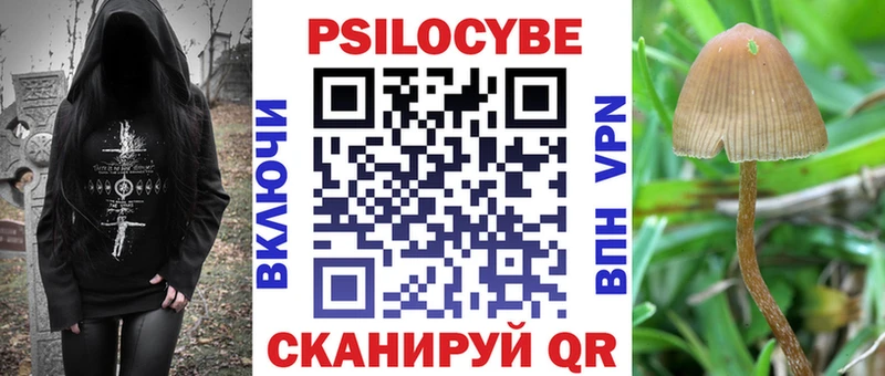 Галлюциногенные грибы GOLDEN TEACHER  Купить  Алагир 